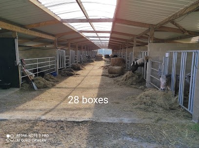 Les écuries de Gerzay, Pension pour Chevaux à Juniville