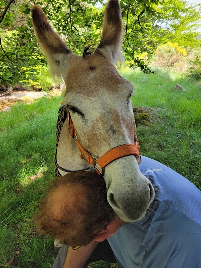 Gentiâne, Centre Equestres à Vialas