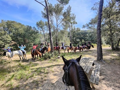 Les Ecuries Du Brusc Equestrian Center, Centre Equestres à Six-Fours-les-Plages