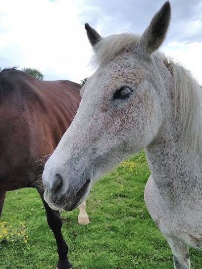 Centre Equestre Longvilliers, Centre Equestres à Longvilliers
