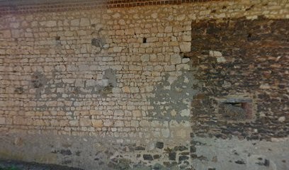 Les Ecuries Du Tholon, Pension pour Chevaux à Parly