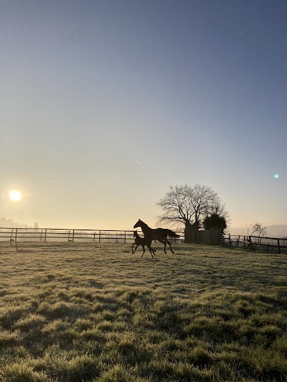 Lemaitre Eric, Centre Equestres au Mesnil-Simon