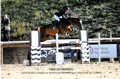 Ecurie Nathalie Barbier - Haras De Rabat, Centre Equestres au Plantay