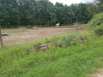 Equestrian Center De Grand Poitiers, Centre Equestres à Mignaloux-Beauvoir
