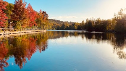 Domaine D’Agartha, Pension pour Chevaux à La Bonneville-sur-Iton