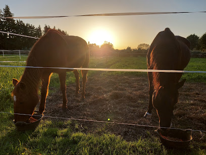 Écurie Les Sabots D'azur, Pension Pour Chevaux à Monteux