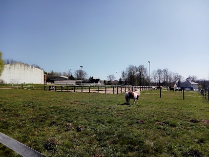 ETRIER ARDENNAIS, Centre Equestres à Givonne