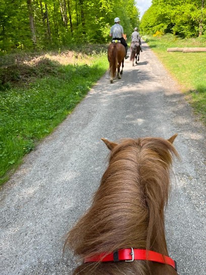 Écurie De La Forêt De Lyons, Centre Equestres à La Feuillie