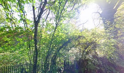 Stables De La Vie Haute, Centre Equestres à Ségny