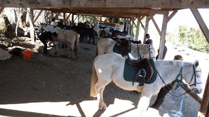 Equestrian Center Farnay, Centre Equestres à Farnay