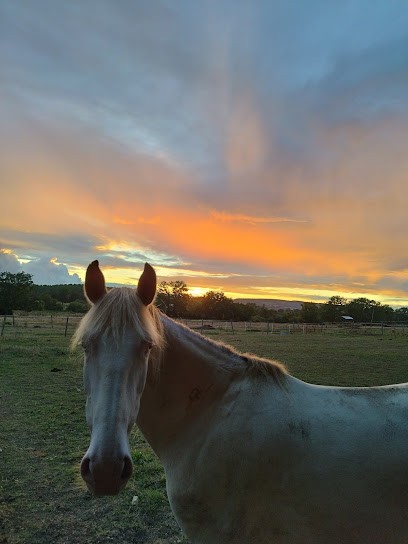 Écurie fleuriet, Pension pour Chevaux à Crézancy-en-Sancerre