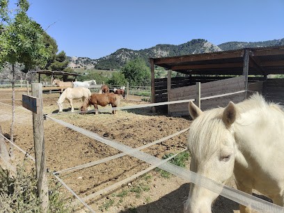 Écurie De Blue-Sky, Centre Equestres aux Pennes-Mirabeau