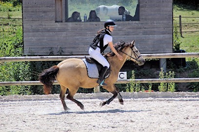 PONEY CLUB ATOUT CRIN, Centre Equestres à Luzinay