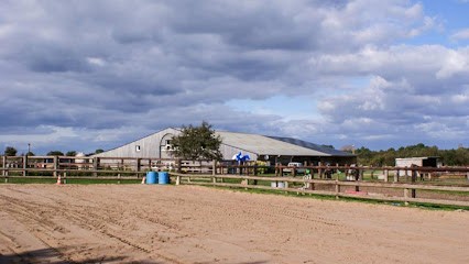 Erdeven Riding, Centre Equestres à Erdeven