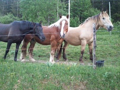 Relais équestre Les Seignes, Centre Equestres aux Gras