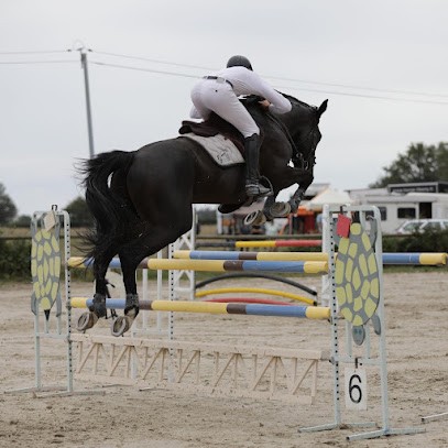 Ecurie Ivan Milak, Centre Equestres à Mirefleurs