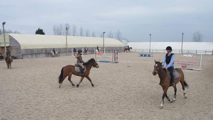 Ecurie Franck Thermeau, Centre Equestres à Saint-Pryvé-Saint-Mesmin