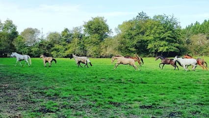Stables Rolly Poon's, Centre Equestres à La Brède