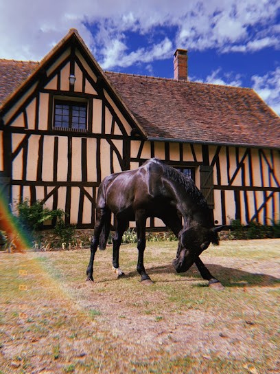 Haras De La Ferrandière, Centre Equestres à Mesnils-sur-Iton