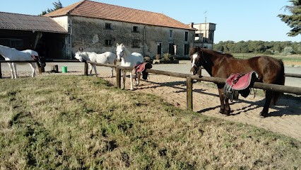 Stud Des Evieres, Centre Equestres au Bois-Plage-en-Ré