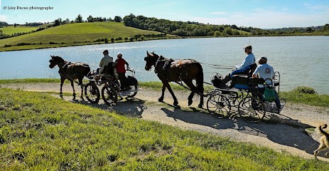 Comité Départemental De Tourisme Équestre Ariège (CDTE 09), Centre Equestres à Foix