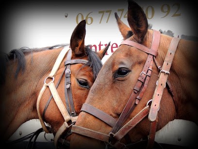 Centre équestre De La Forêt De Rambouillet, Centre Equestres à La Boissière-École