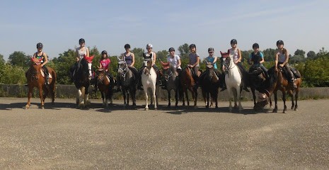 Rand Okla Dibling Walter Veronique, Centre Equestres à Herrlisheim