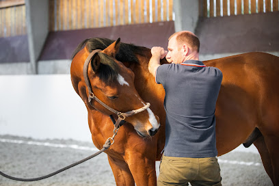 Horsteo, Pension Pour Chevaux à Fleurbaix