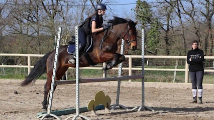 Pony Club De Grellery, Centre Equestres à La Ville-Dieu-du-Temple