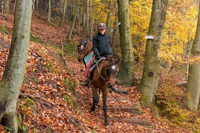 Equi Plaisirs, Centre Equestres à Wangenbourg-Engenthal