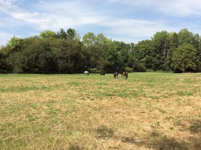 Les écuries de Chanteloup, Pension pour Chevaux à Chanteloup