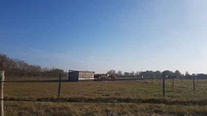 Area Equestrian De La Hitte, Centre Equestres à Fonsorbes