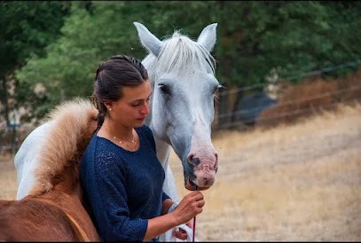 Instructor Riding Independent Estel.la, Centre Equestres à Laroque-des-Albères