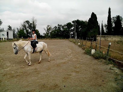 SARL EQUI PASSION, Centre Equestres à Trèbes