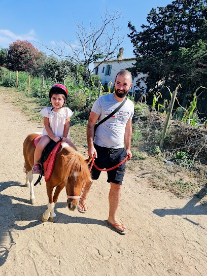Stables Saint Jacques, Centre Equestres à Perpignan
