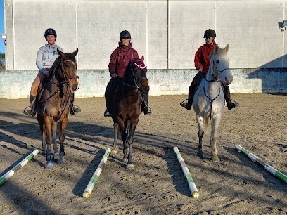 Les ecuries de Saint Aubin, Pension pour Chevaux au Houga