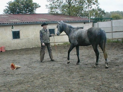 Ethologie 77-Association La Randonnee, Centre Equestres à Fontenailles