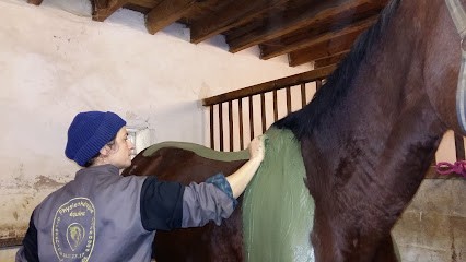 Le Domaine De Bargues, Pension pour Chevaux à Lucbardez-et-Bargues