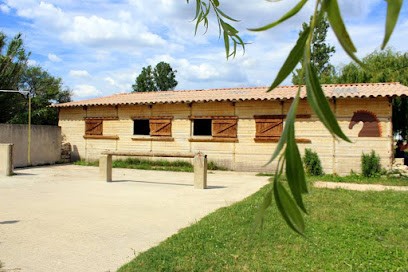 Ecurie Yanenga, Centre Equestres à Velleron
