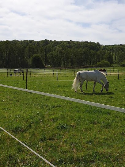 Haras de l’Oison, Pension pour Chevaux à La Saussaye