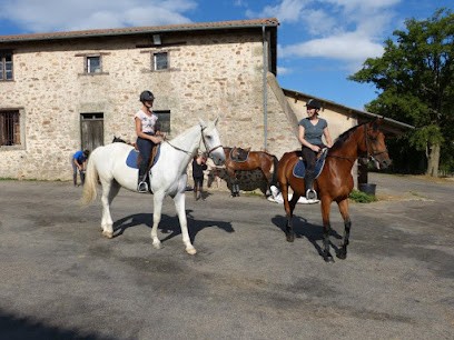 Equestrian Center Pony Club Des Vaseix, Centre Equestres à Verneuil-sur-Vienne
