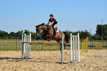 Les Ecuries Du Pressoir, Pension pour Chevaux aux Monceaux