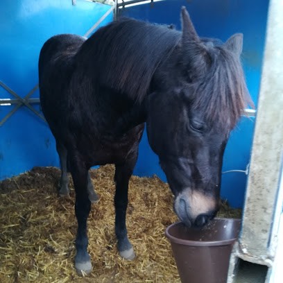 Roc Bélesta, Centre Equestres à La Magdelaine-sur-Tarn
