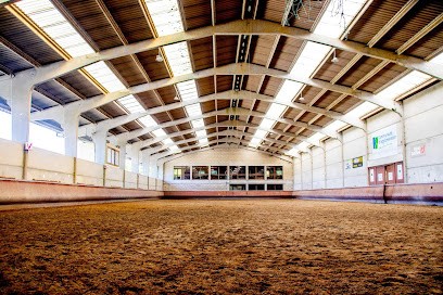 ECOLE D EQUITATION DU BOULONNAIS, Centre Equestres à La Capelle-lès-Boulogne