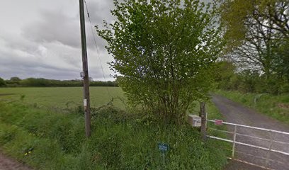 Le Cheval Emeraude, Centre Equestres à Marigny-Le-Lozon