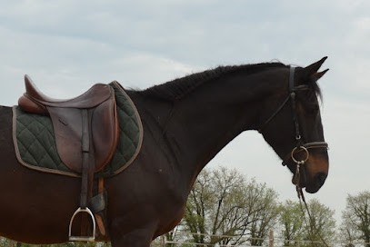 Ecurie LR (Pension Chevaux), Pension pour Chevaux à Pouillé