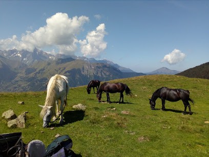 Guzet Cheval, Centre Equestres à Ustou