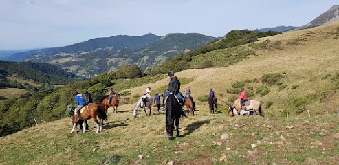 ferme equestre de l'alagnon, Centre Equestres à Laveissière