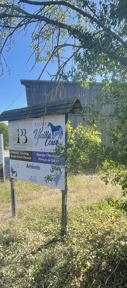 Écurie de la vieille cour, Pension pour Chevaux à Épannes