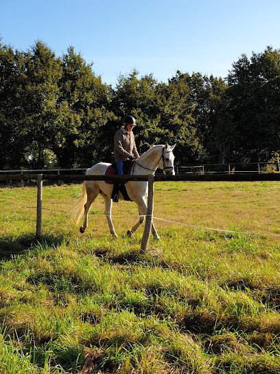 Ecuries Myriam Duvochel, Centre Equestres aux Hauts d'Anjou
